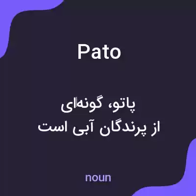 معنی pato به فارسی معنی pato به فارسی