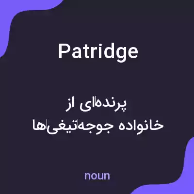 معنی patridge به فارسی معنی patridge به فارسی