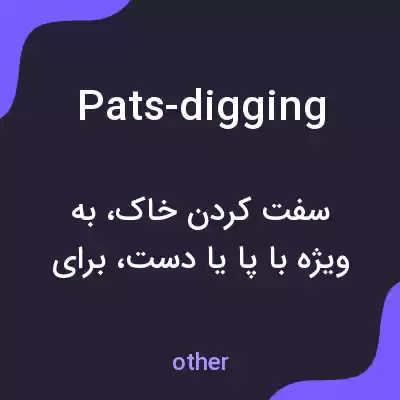معنی pats-digging به فارسی