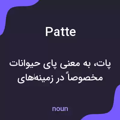 معنی patte به فارسی معنی patte به فارسی