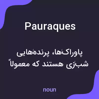 معنی pauraques به فارسی معنی pauraques به فارسی