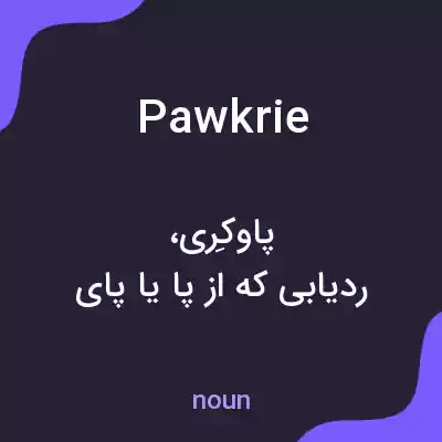 معنی pawkrie به فارسی