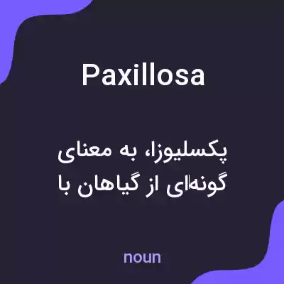 معنی paxillosa به فارسی معنی paxillosa به فارسی