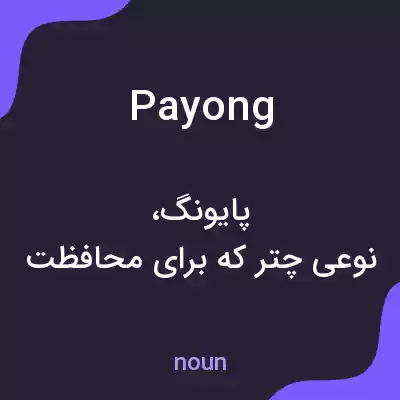 معنی payong به فارسی معنی payong به فارسی
