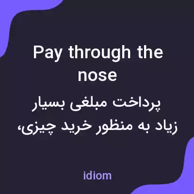 معنی pay through the nose به فارسی معنی pay through the nose به فارسی