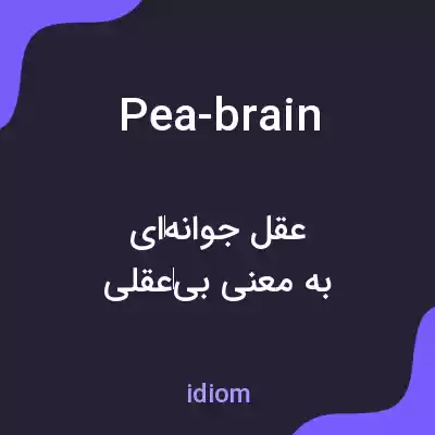 معنی pea-brain به فارسی