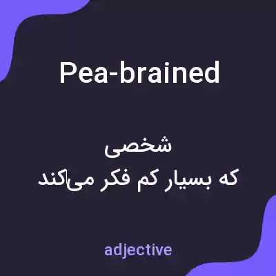 معنی pea-brained به فارسی