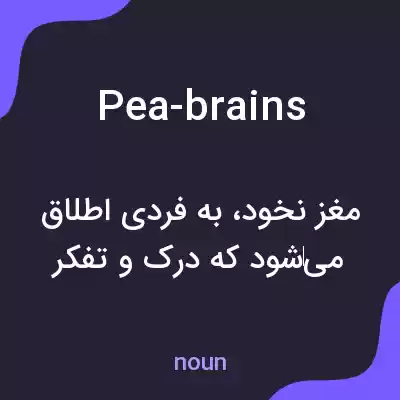 معنی pea-brains به فارسی معنی pea-brains به فارسی