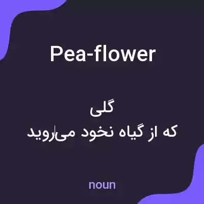 معنی pea-flower به فارسی معنی pea-flower به فارسی