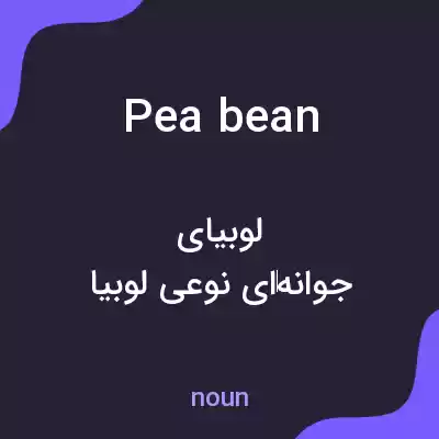 معنی pea bean به فارسی معنی pea bean به فارسی