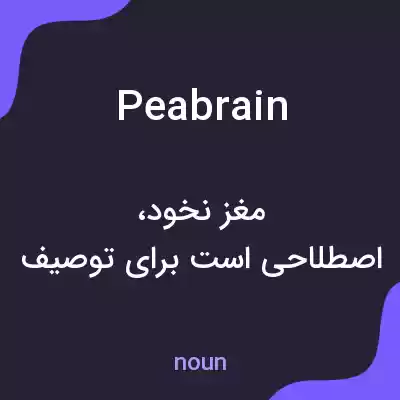 معنی peabrain به فارسی معنی peabrain به فارسی