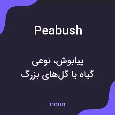 معنی peabush به فارسی معنی peabush به فارسی
