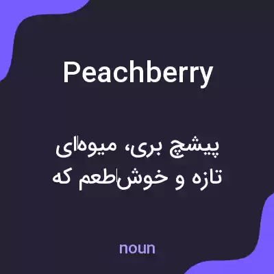 معنی peachberry به فارسی معنی peachberry به فارسی