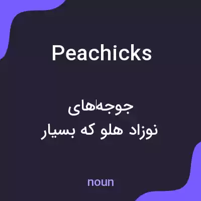 معنی peachicks به فارسی معنی peachicks به فارسی