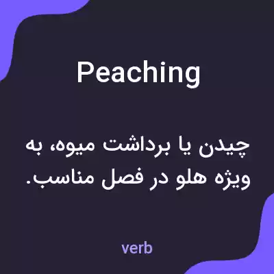 معنی peaching به فارسی معنی peaching به فارسی