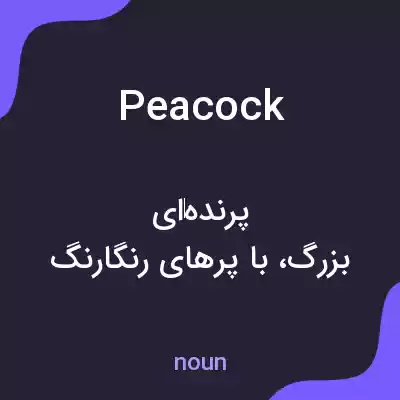 معنی peacock به فارسی معنی peacock به فارسی