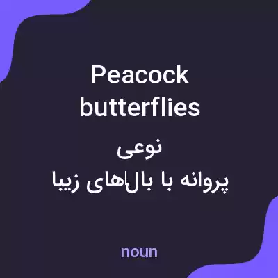 معنی peacock butterflies به فارسی معنی peacock butterflies به فارسی