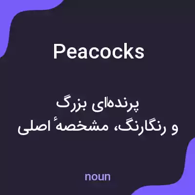 معنی peacocks به فارسی