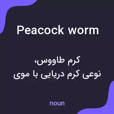 معنی peacock worm به فارسی معنی peacock worm به فارسی