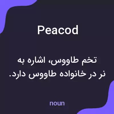 معنی peacod به فارسی معنی peacod به فارسی