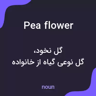 معنی pea flower به فارسی معنی pea flower به فارسی