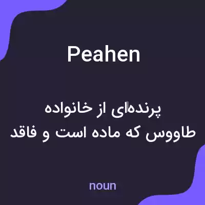 معنی peahen به فارسی معنی peahen به فارسی