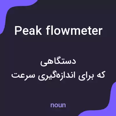 معنی peak flowmeter به فارسی معنی peak flowmeter به فارسی