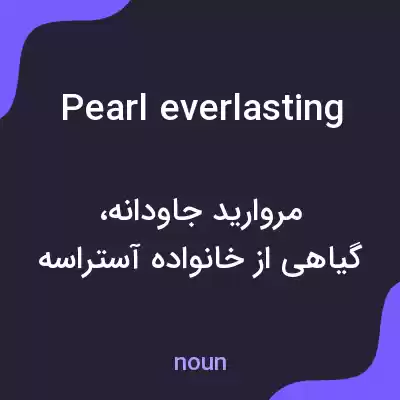 معنی pearl everlasting به فارسی معنی pearl everlasting به فارسی