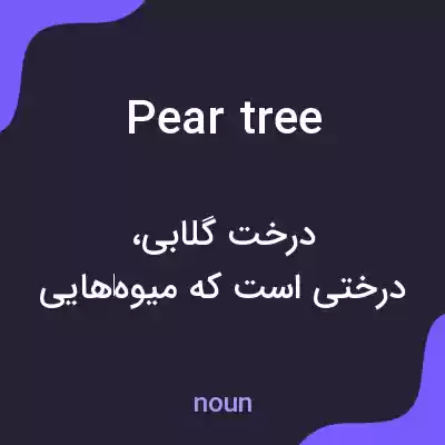 معنی pear tree به فارسی