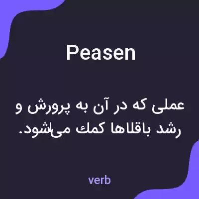 معنی peasen به فارسی معنی peasen به فارسی