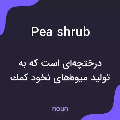 معنی pea shrub به فارسی معنی pea shrub به فارسی
