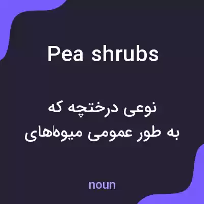معنی pea shrubs به فارسی معنی pea shrubs به فارسی