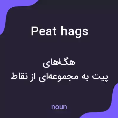معنی peat hags به فارسی معنی peat hags به فارسی