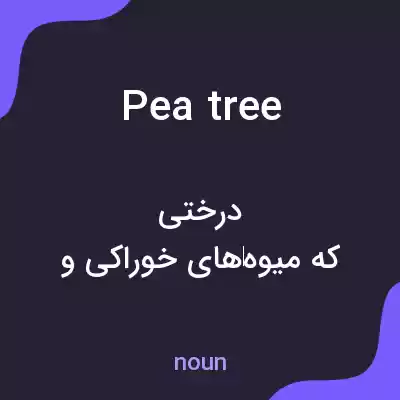 معنی pea tree به فارسی معنی pea tree به فارسی