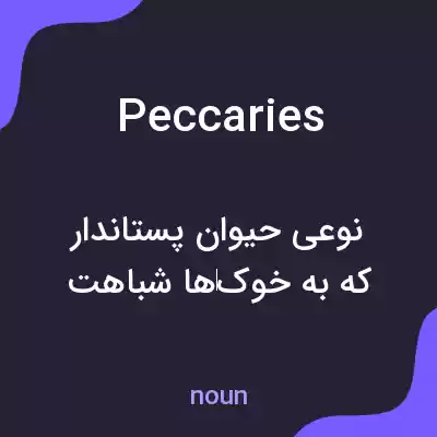 معنی peccaries به فارسی