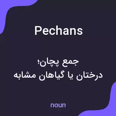 معنی pechans به فارسی معنی pechans به فارسی