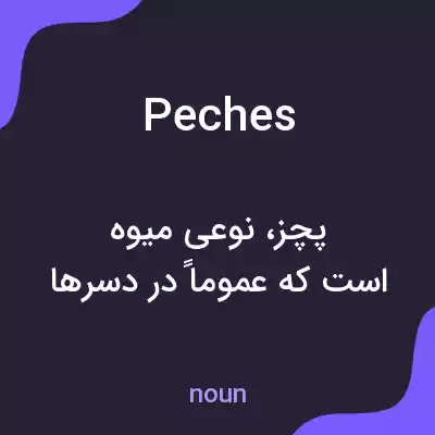 معنی peches به فارسی معنی peches به فارسی