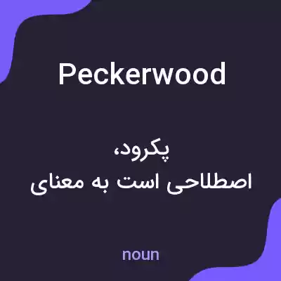 معنی peckerwood به فارسی معنی peckerwood به فارسی