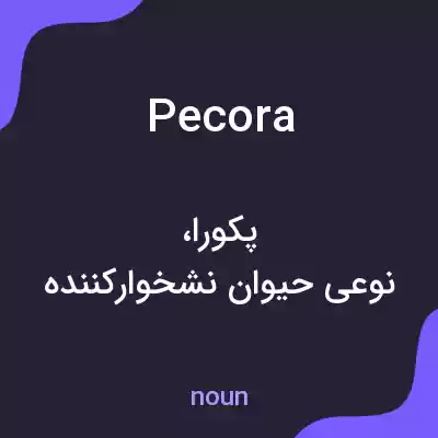معنی pecora به فارسی معنی pecora به فارسی