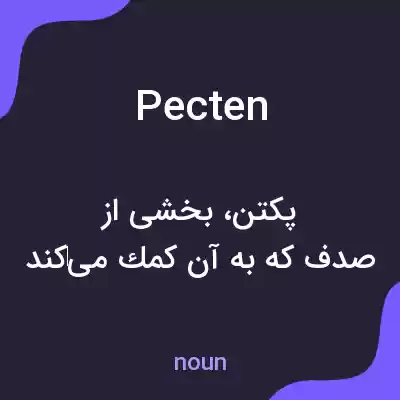 معنی pecten به فارسی معنی pecten به فارسی