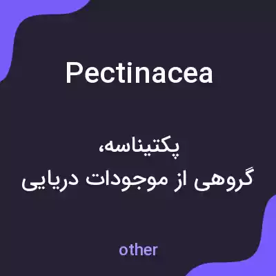 معنی pectinacea به فارسی معنی pectinacea به فارسی