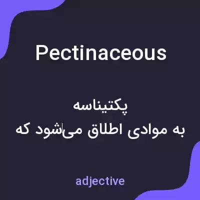 معنی pectinaceous به فارسی معنی pectinaceous به فارسی