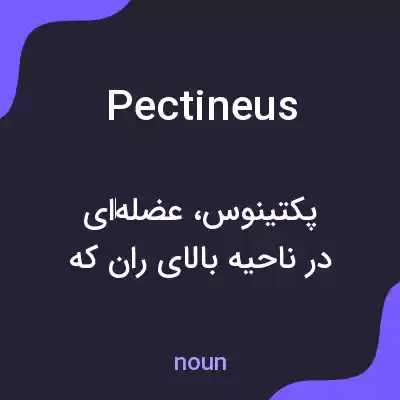 معنی pectineus به فارسی معنی pectineus به فارسی