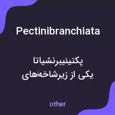 معنی pectinibranchiata به فارسی معنی pectinibranchiata به فارسی