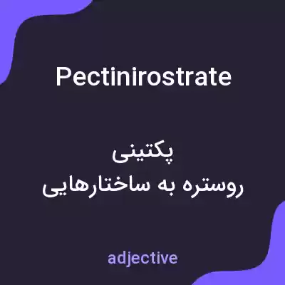 معنی pectinirostrate به فارسی معنی pectinirostrate به فارسی