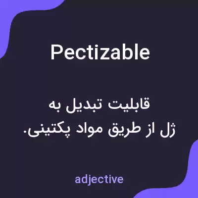 معنی pectizable به فارسی معنی pectizable به فارسی