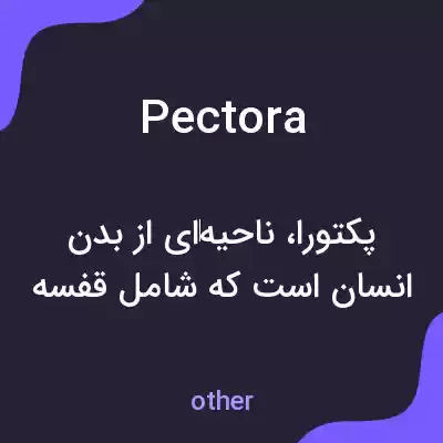 معنی pectora به فارسی معنی pectora به فارسی