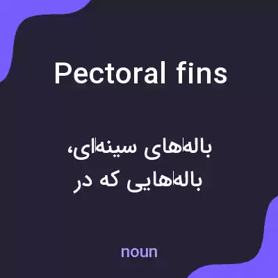 معنی pectoral fins به فارسی معنی pectoral fins به فارسی