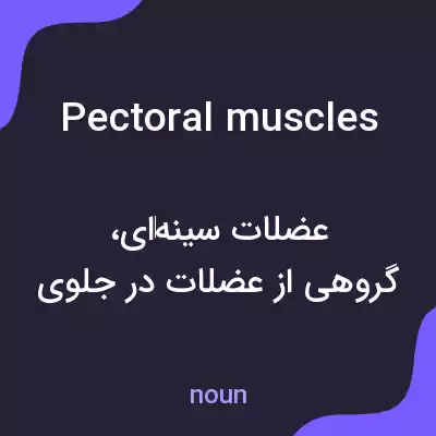 معنی pectoral muscles به فارسی معنی pectoral muscles به فارسی