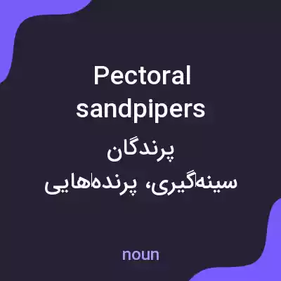 معنی pectoral sandpipers به فارسی معنی pectoral sandpipers به فارسی